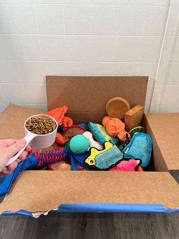 Pawsitively Fun: DIY Enrichment for Your Pup’s Mealtime