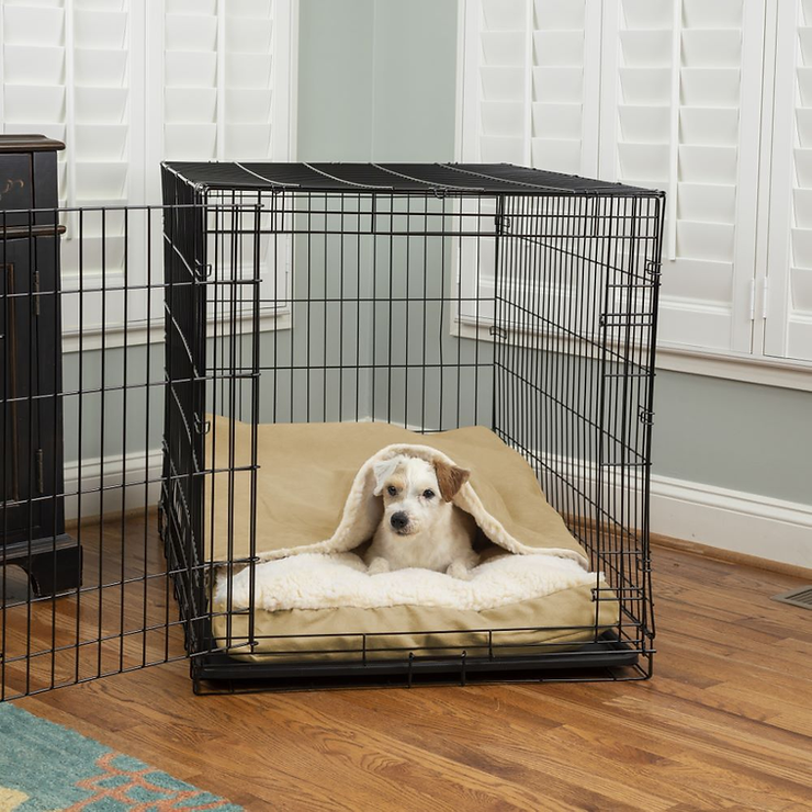 A Comprehensive Guide to Successful Crate Training for Your Dog